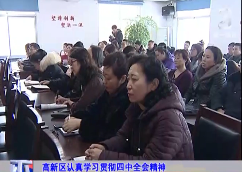 高新區認真學習貫徹四中全會精神