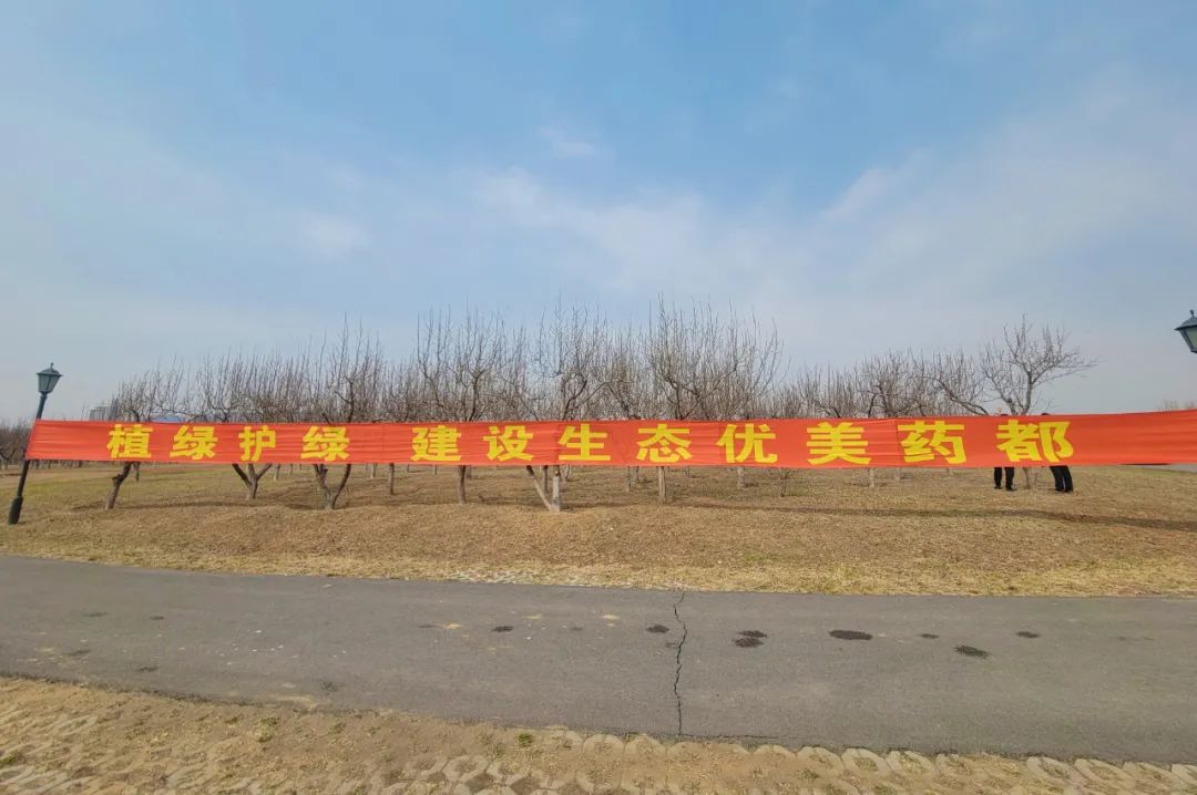 【藥都要聞】植樹添新綠 春意滿藥都——高新區組織開展義務植樹認養活動