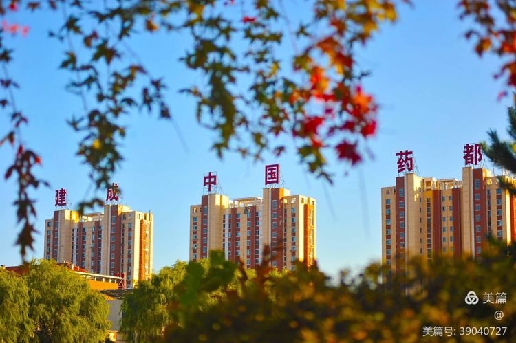 踐行低碳發展 本溪高新區  打造綠色照明示范樣板