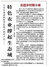 遼寧本溪因地制宜發展中藥材產業——特色農業撐起生態城