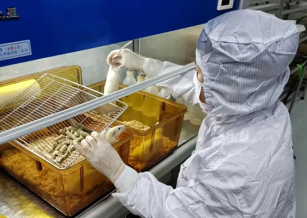 【瞪羚企業巡禮】一躍進入國內同行業前五，“鼠”你行——走進遼寧長生生物技術股份有限公司