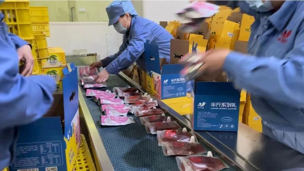 【本溪日報】高新區部分企業春節連續生產力爭開門紅