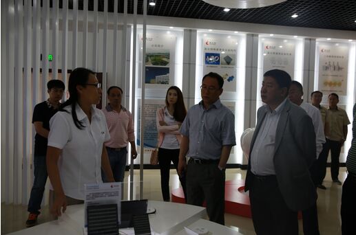 我市部分黨代表就在穩增長中如何發揮堡壘作用爭當模范先鋒來高新區進行視察調研