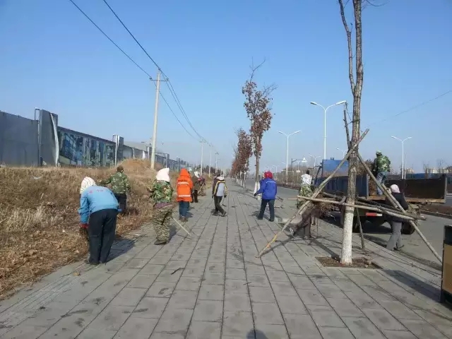 區城市管理局集中整治新接管公共綠地