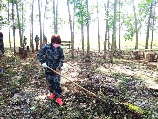 烈日下清理“油菜花海”垃圾，贊那些比花兒還美的志愿者們！
