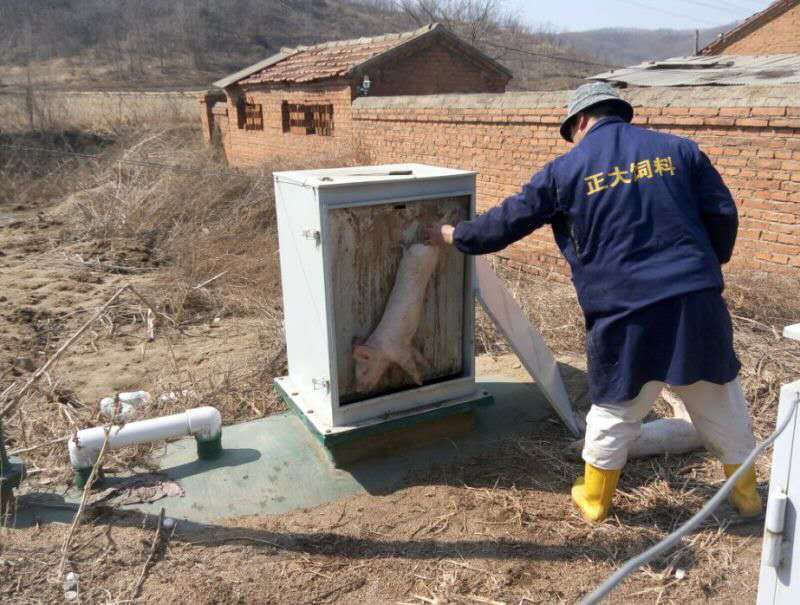 動監中心推進病死動物無害化處理監管工作