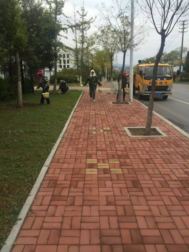 高新區城管局開展秋季樹木涂白工作