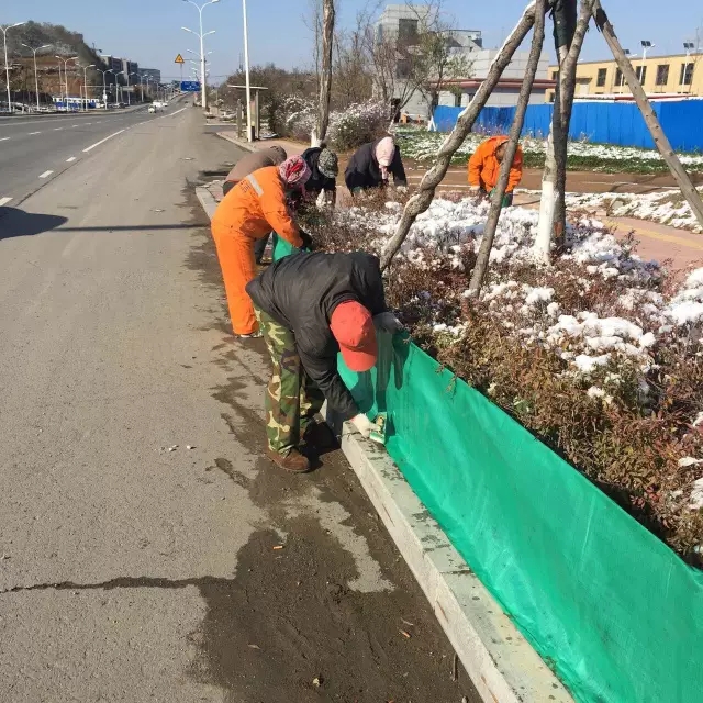 高新區為綠地穿上“防護衣”