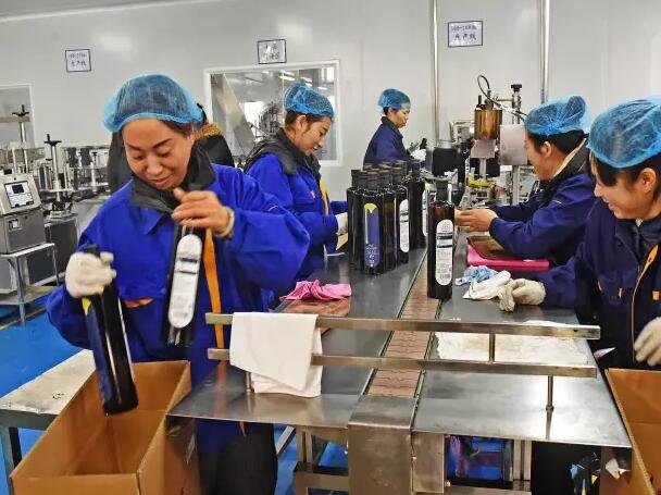 遼寧晟麥銷售業績創歷史新高