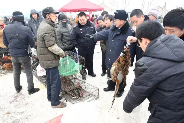 高新區開展野生動物保護聯合檢查行動