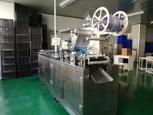 好環境吸引企業落戶 斯巴坦下月投產